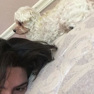 Meet your Posher, Matt